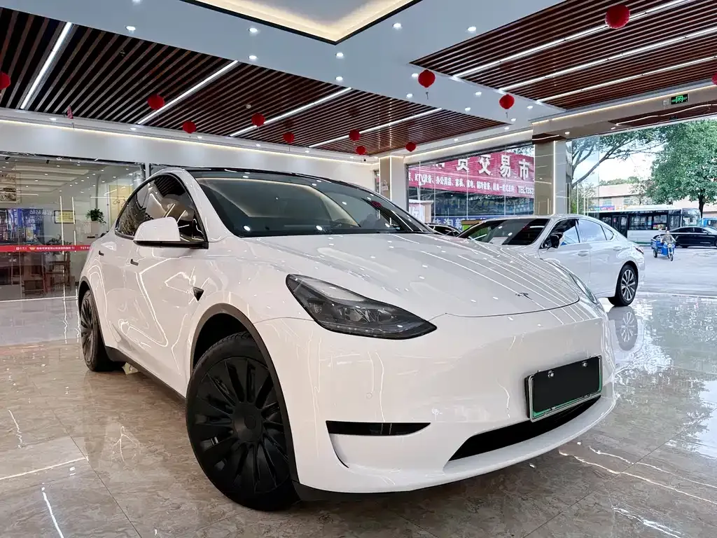 Tesla Model Y 2023 из CN, фото 3