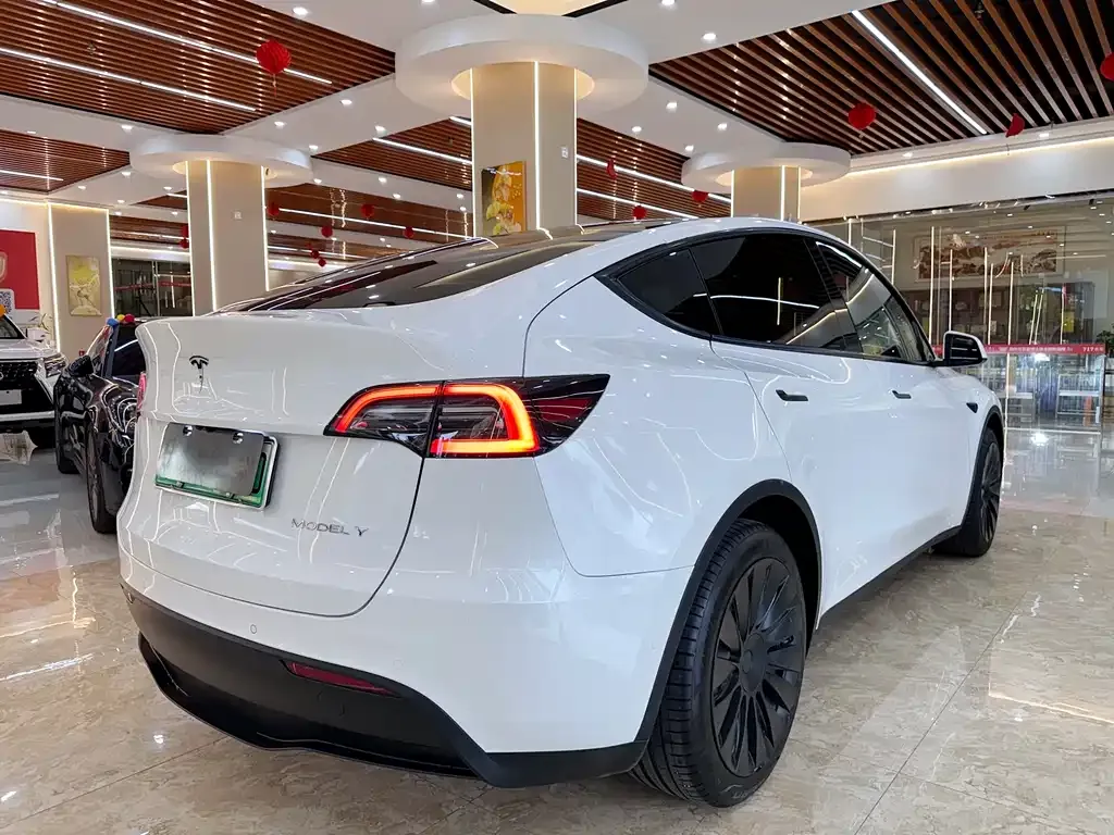 Tesla Model Y 2023 из CN, фото 4