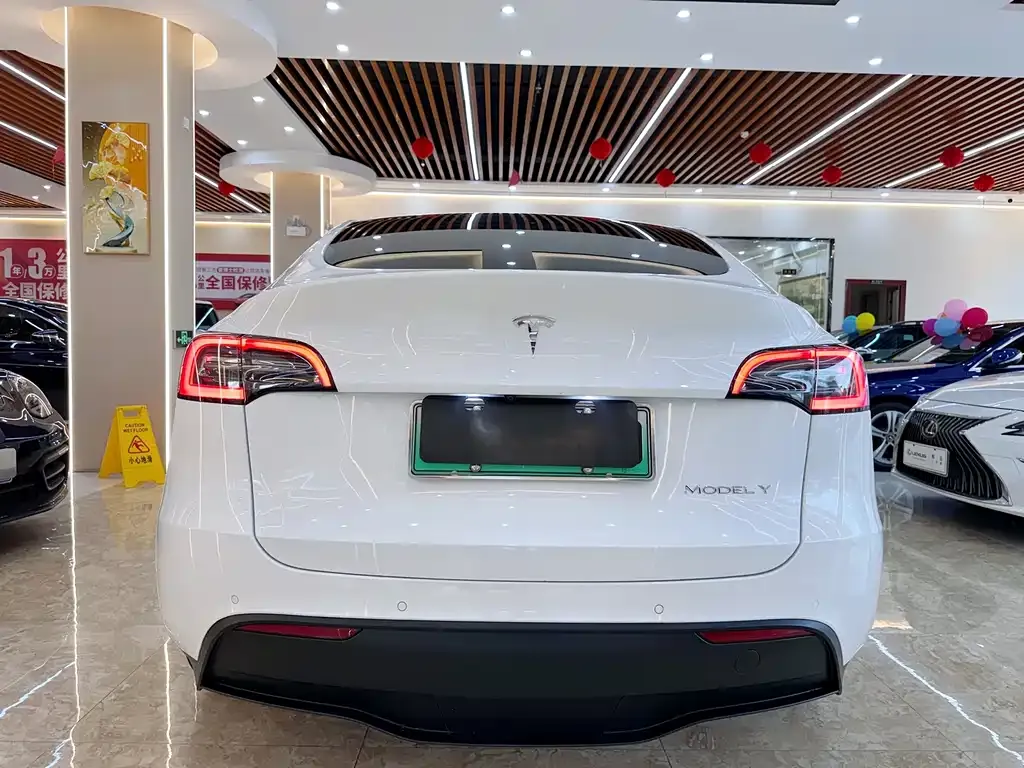 Tesla Model Y 2023 из CN, фото 5