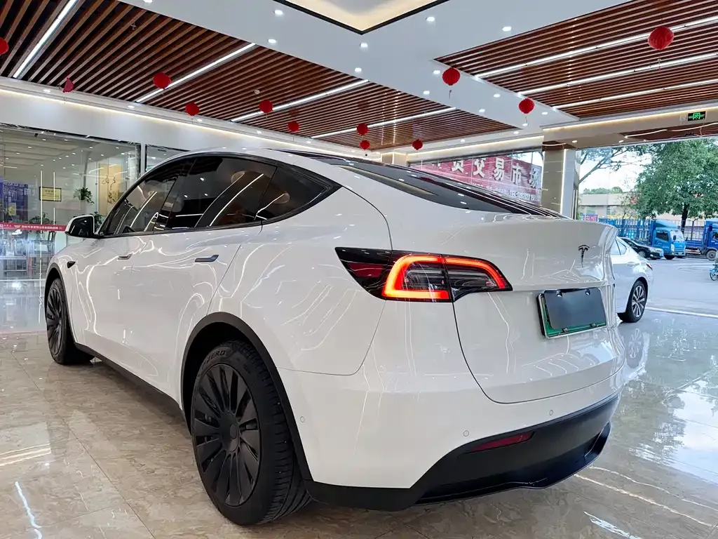 Tesla Model Y 2023 из CN, фото 6