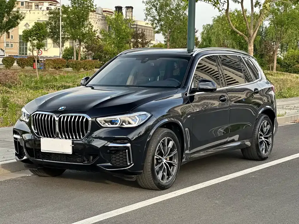 BMW X5 2023 из CN, фото 1