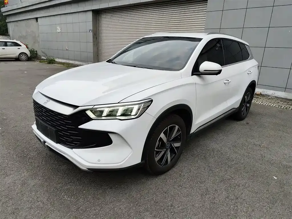 BYD Pro New Energy 2024 из CN, фото 2