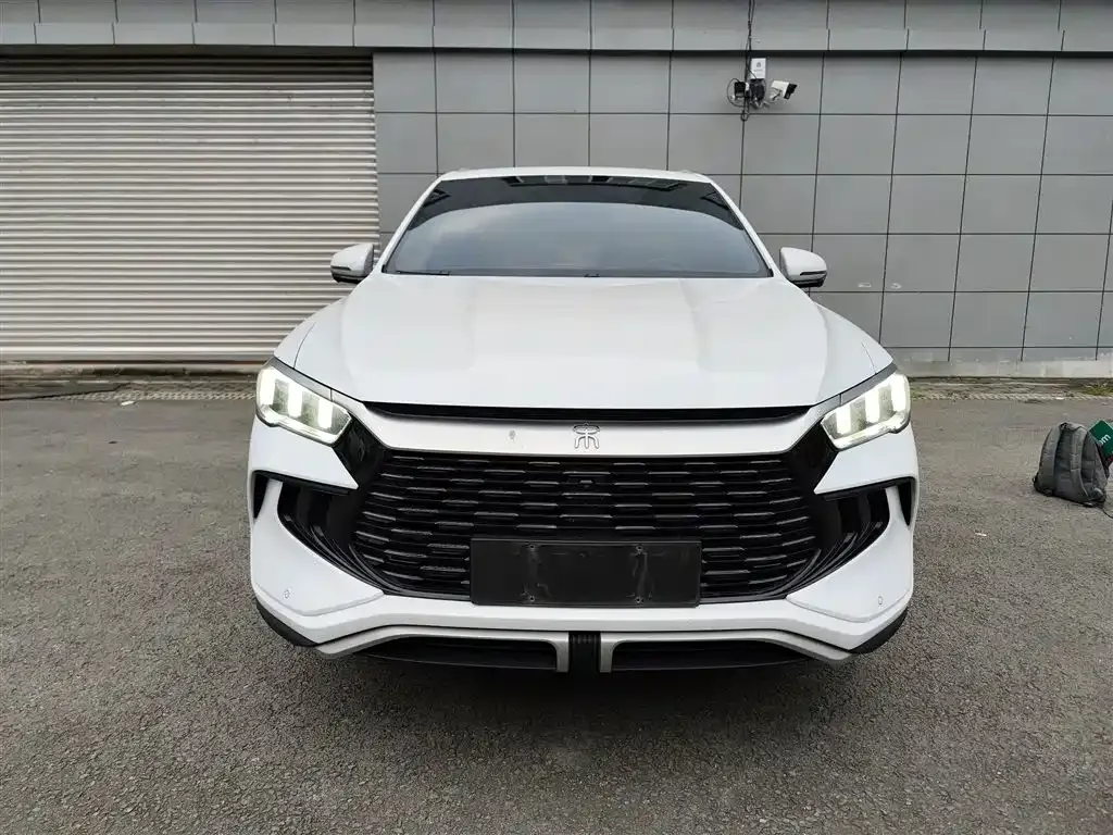 BYD Pro New Energy 2024 из CN, фото 3