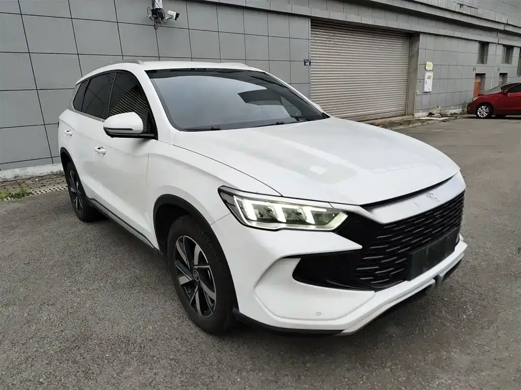 BYD Pro New Energy 2024 из CN, фото 4