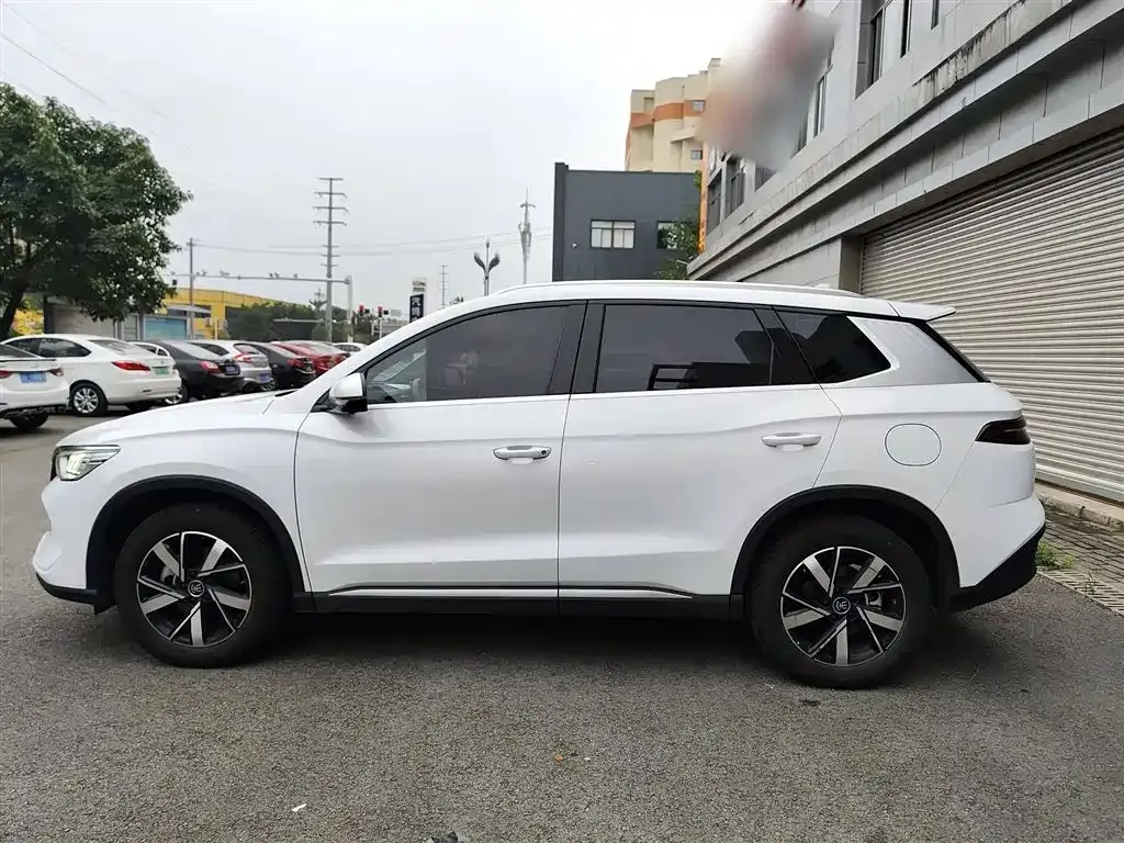 BYD Pro New Energy 2024 из CN, фото 5