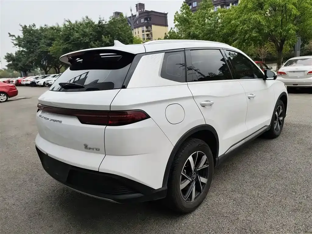 BYD Pro New Energy 2024 из CN, фото 7