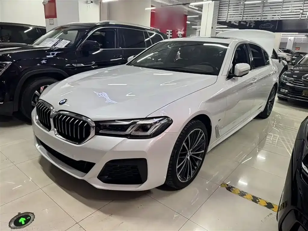 BMW 5 Series 2022 из CN, фото 1