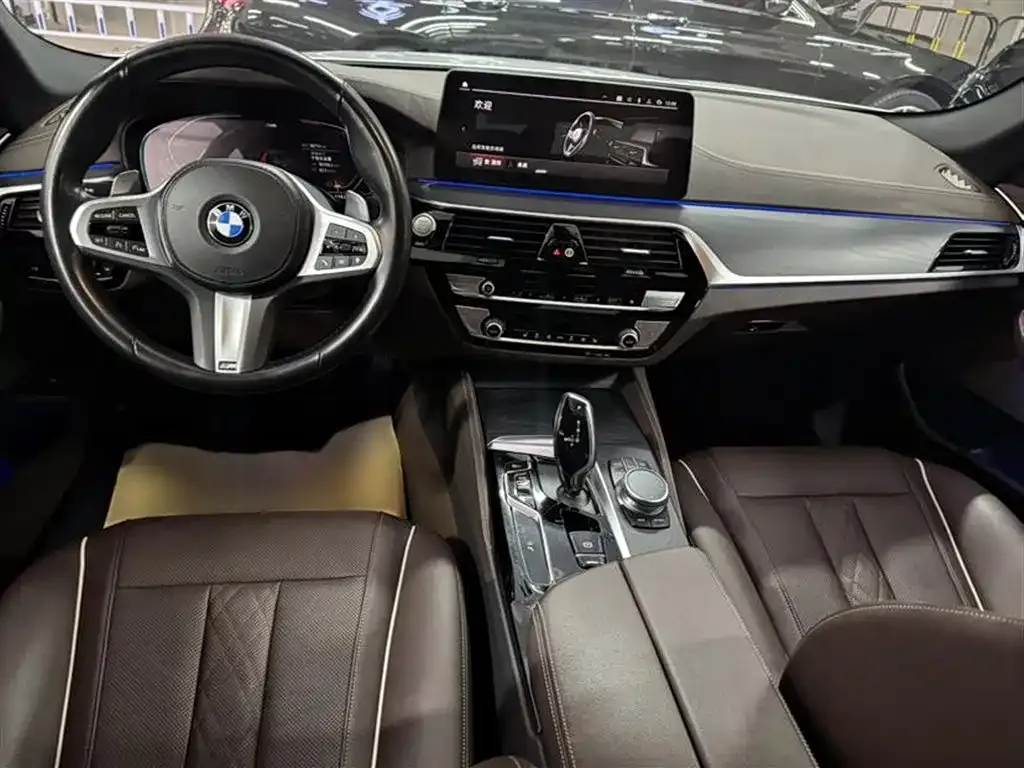 BMW 5 Series 2022 из CN, фото 10