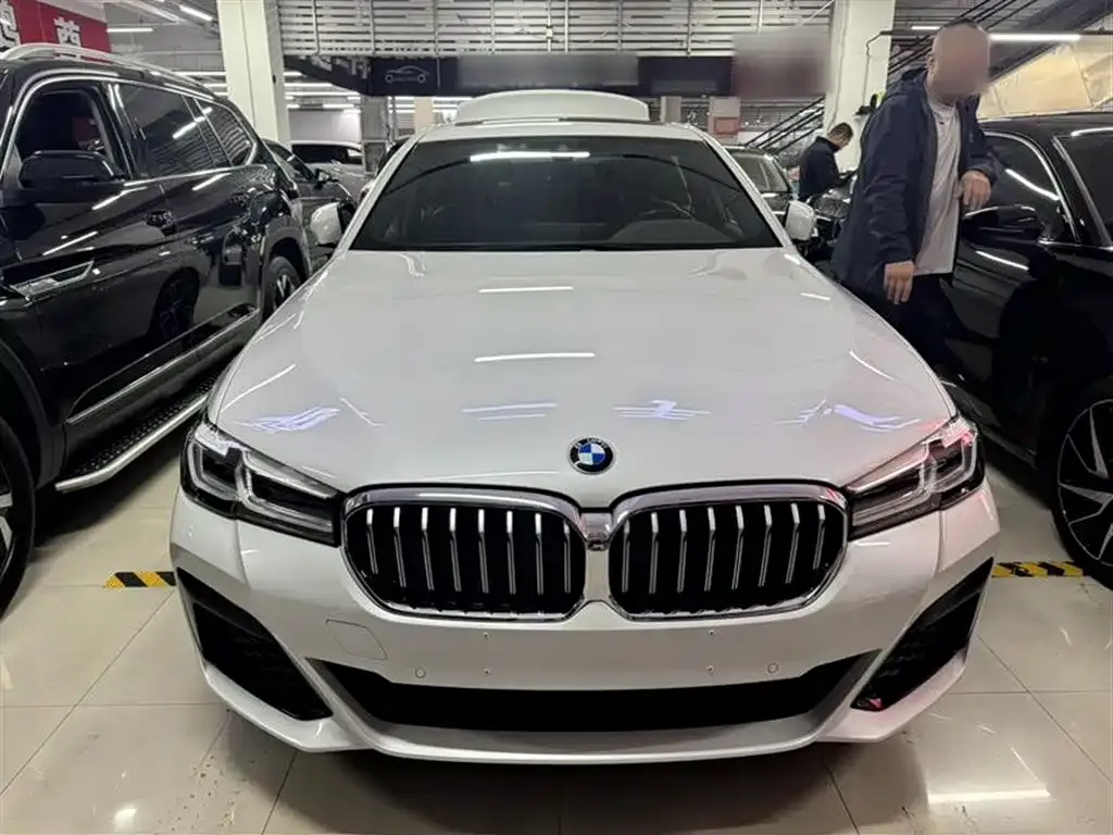 BMW 5 Series 2022 из CN, фото 5