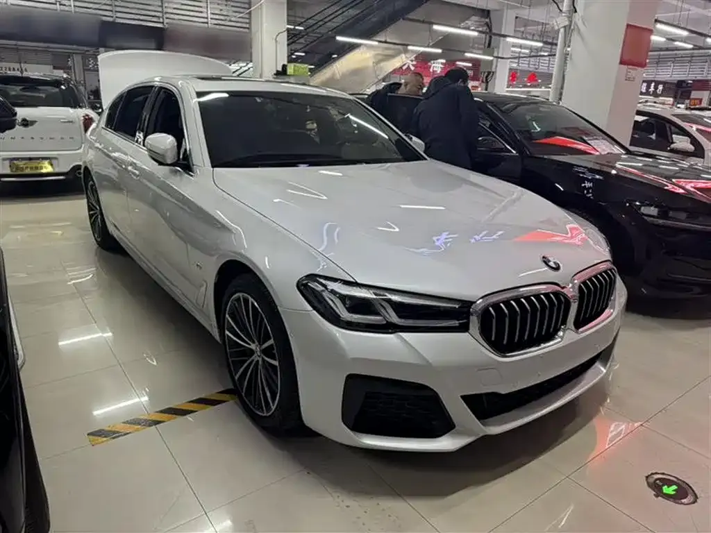 BMW 5 Series 2022 из CN, фото 6