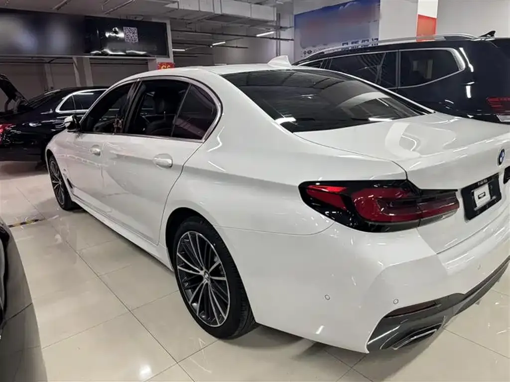 BMW 5 Series 2022 из CN, фото 7