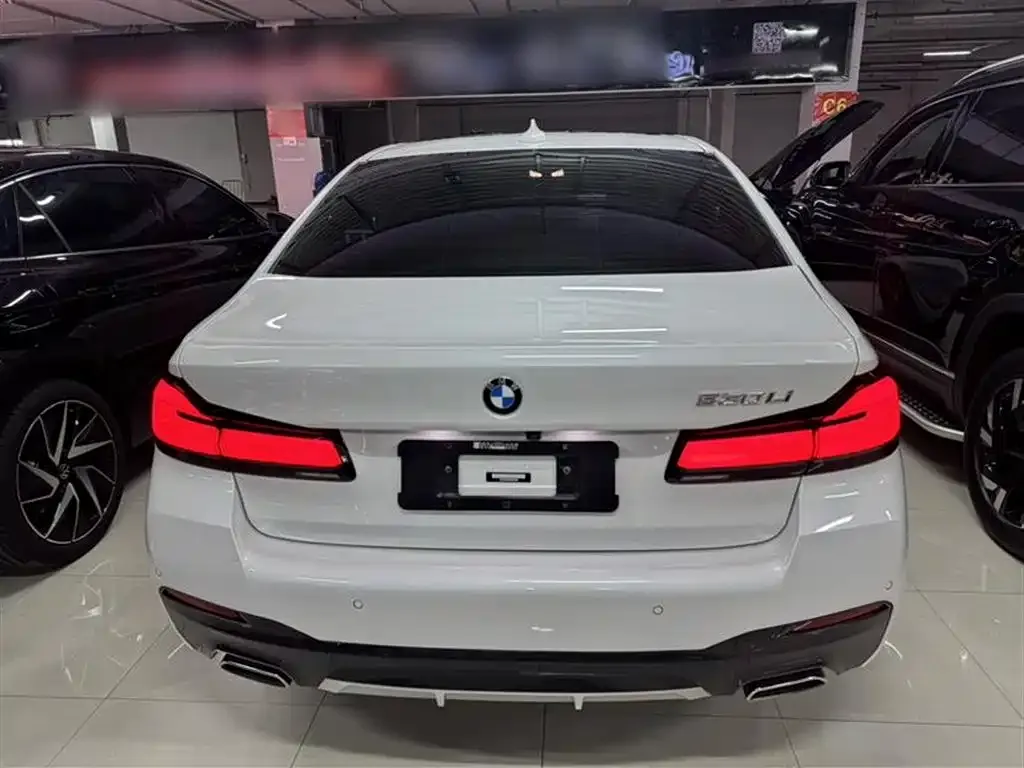 BMW 5 Series 2022 из CN, фото 8