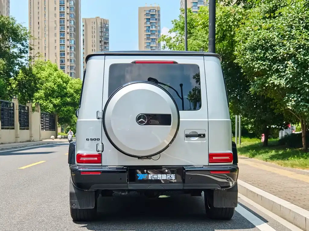 Mercedes-Benz G-Class 2021 из CN, фото 8