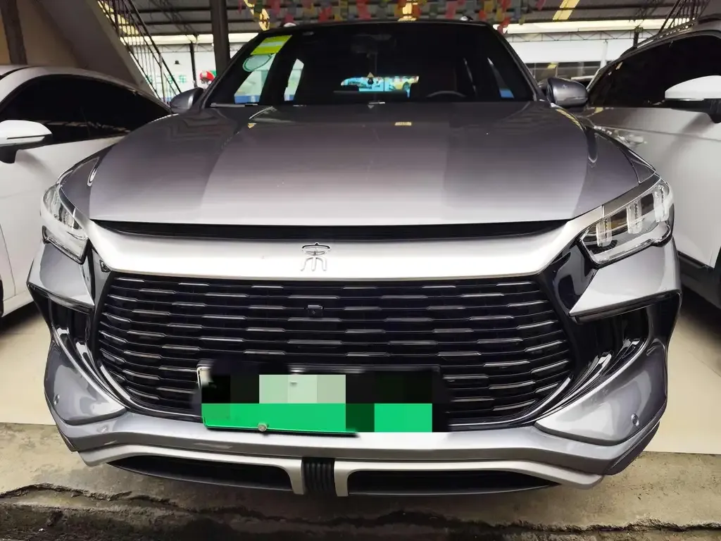 BYD Pro New Energy 2023 из CN, фото 2