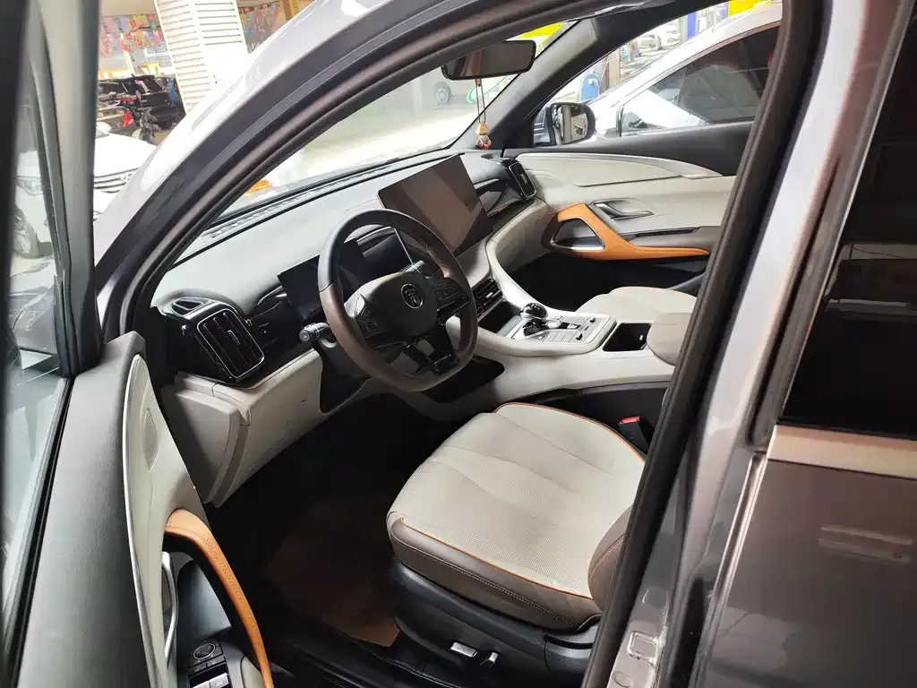 BYD Pro New Energy 2023 из CN, фото 4