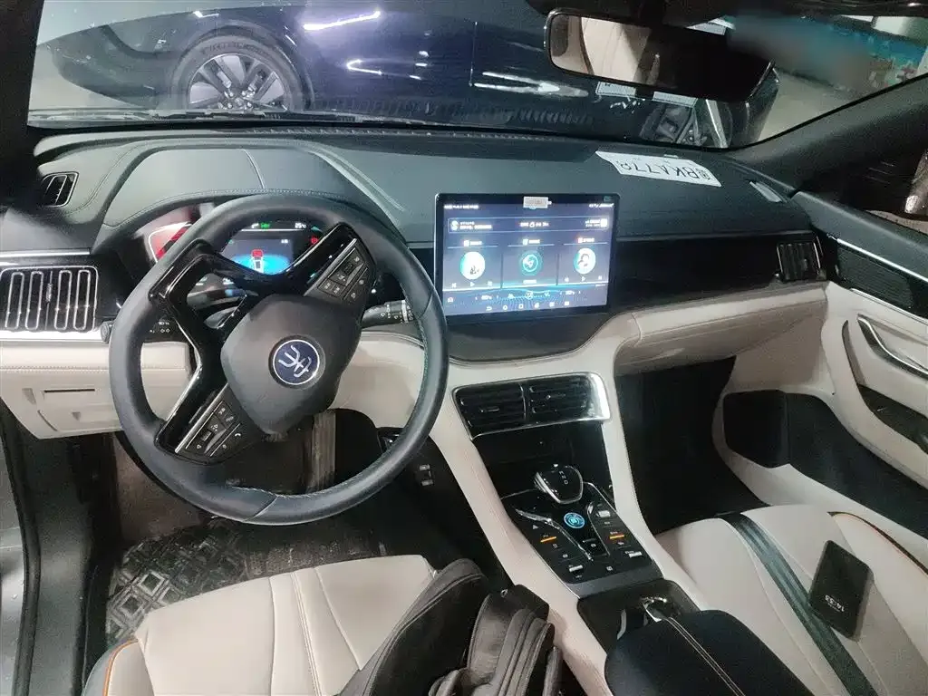 BYD PLUS New Energy 2023 из CN, фото 10