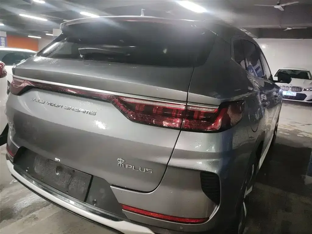 BYD PLUS New Energy 2023 из CN, фото 7