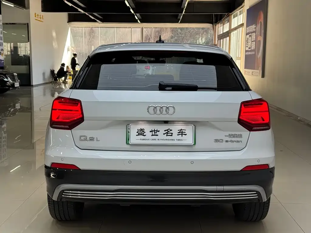 Audi Q2L e-tron 2021 из CN, фото 10