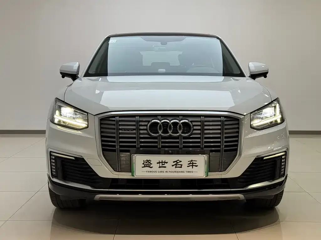 Audi Q2L e-tron 2021 из CN, фото 2