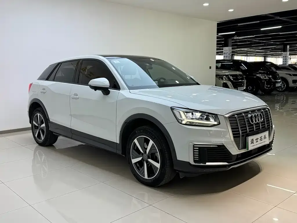 Audi Q2L e-tron 2021 из CN, фото 3