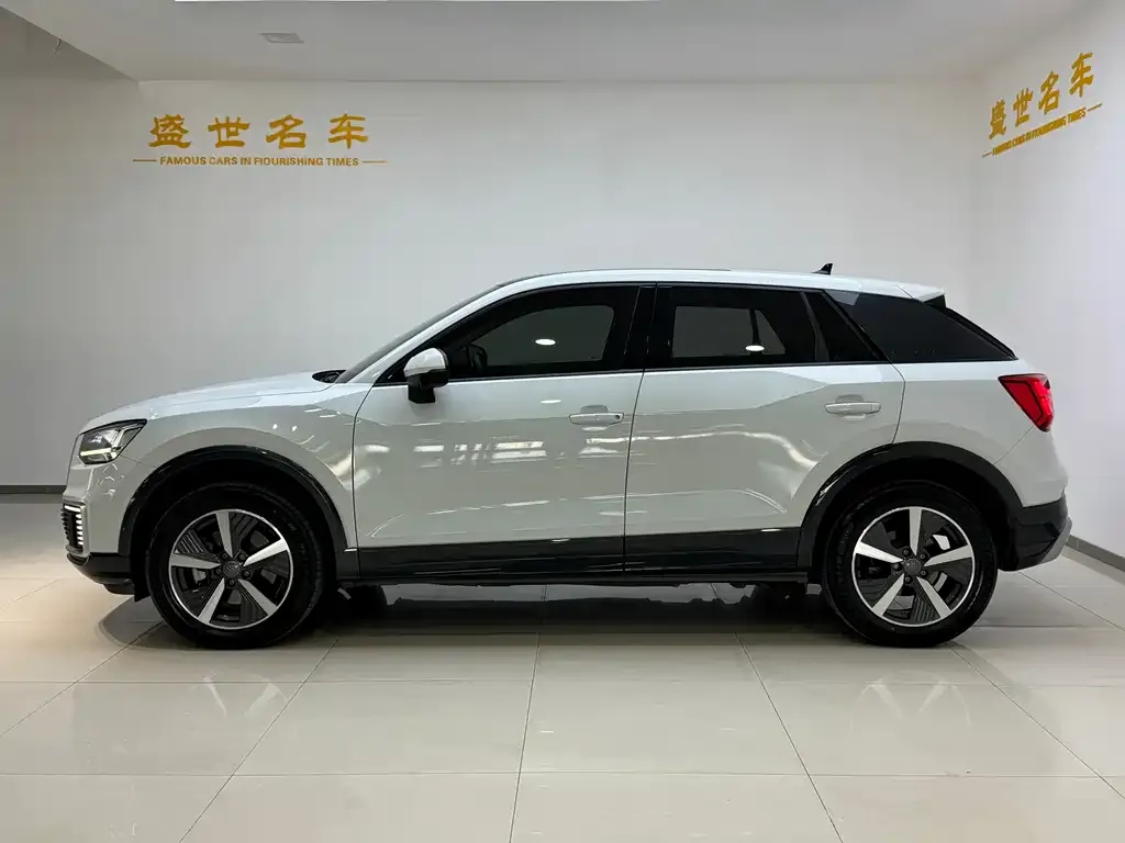 Audi Q2L e-tron 2021 из CN, фото 4