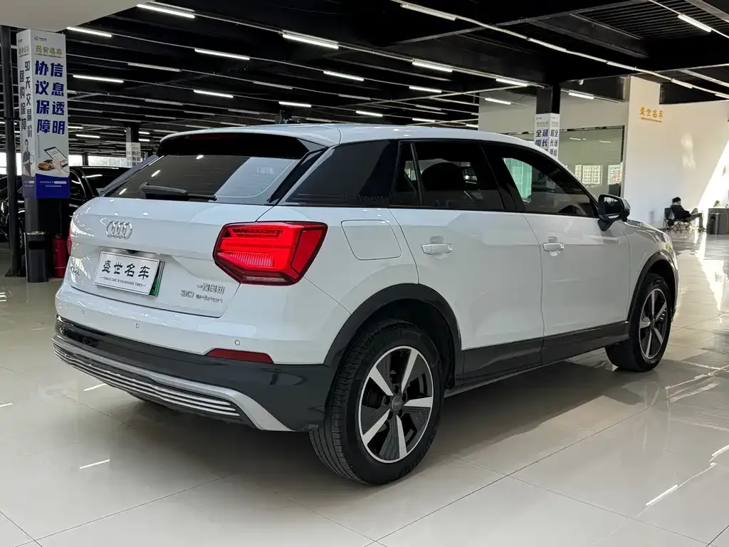 Audi Q2L e-tron 2021 из CN, фото 9