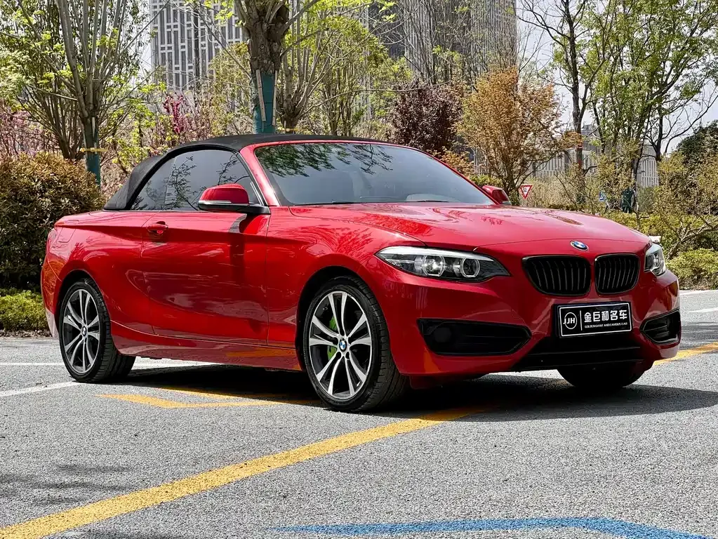 BMW 2 Series (Import)