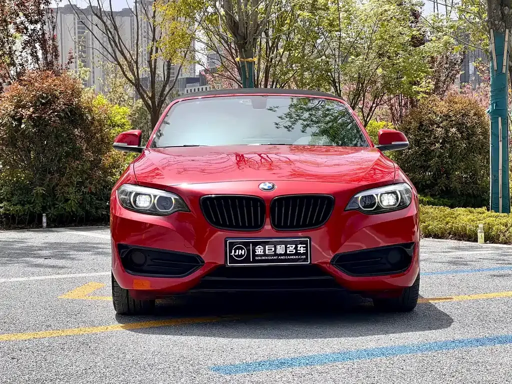 BMW 2 Series (Import) 2021 из CN, фото 2
