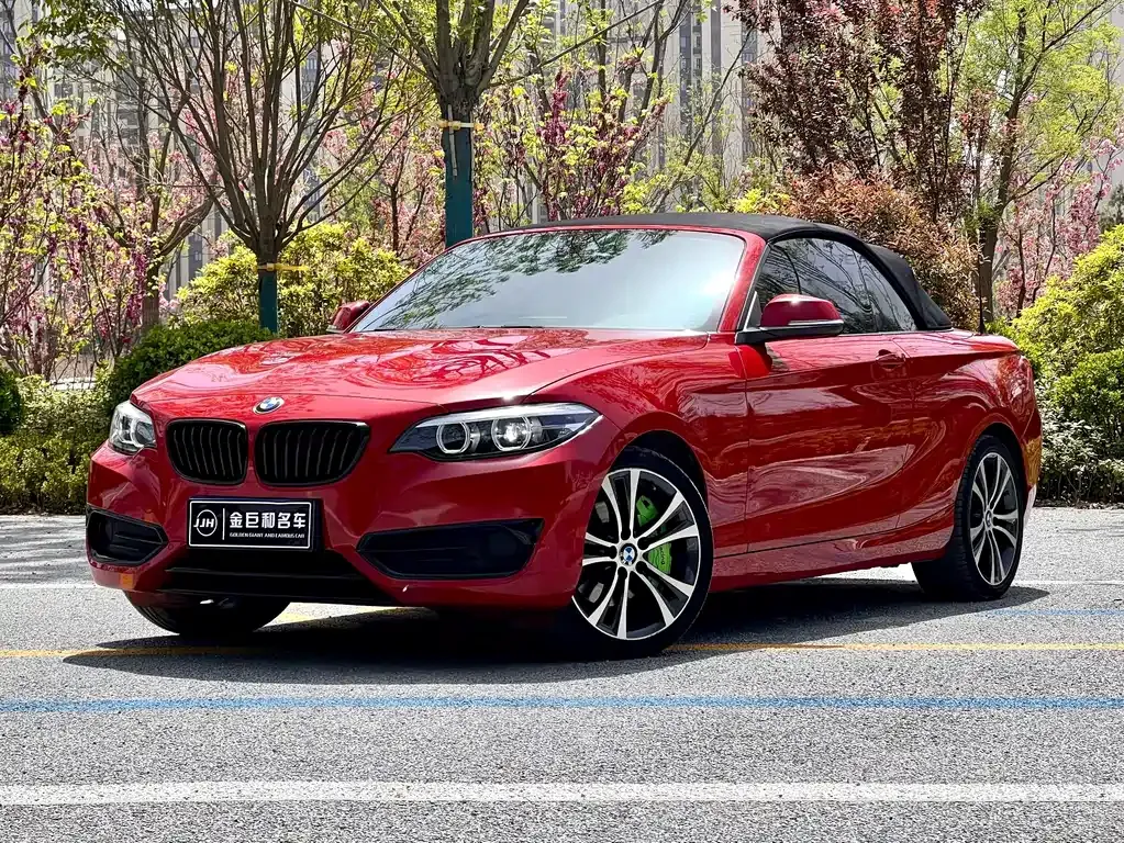 BMW 2 Series (Import) 2021 из CN, фото 3