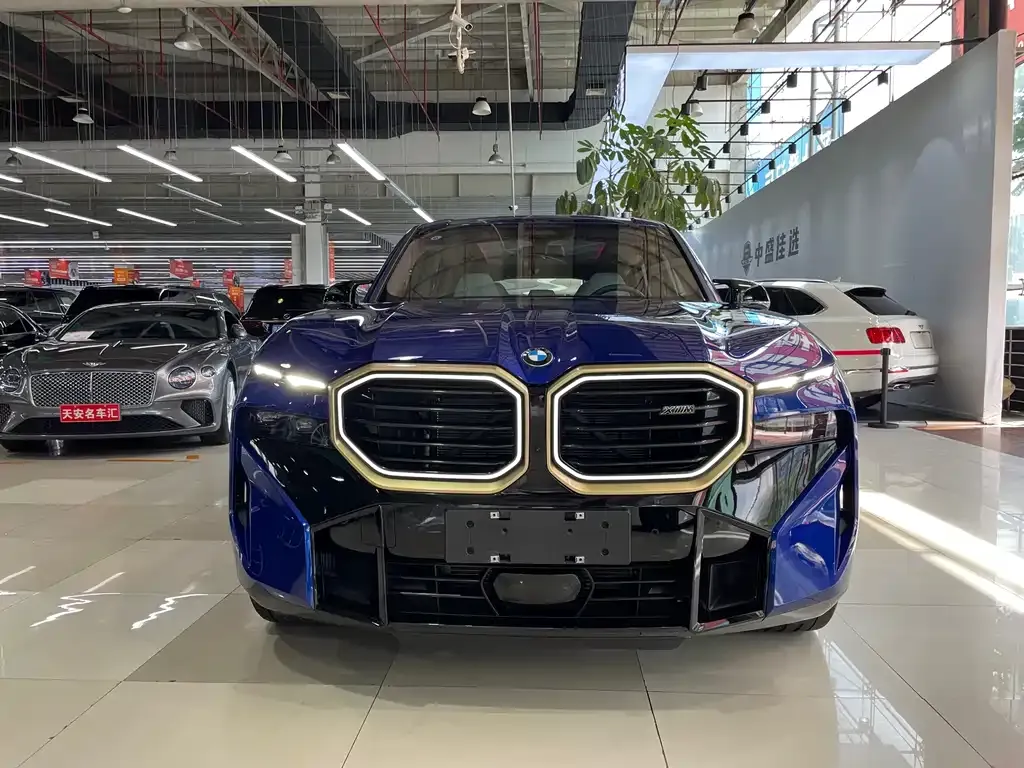 BMW XM 2024 из CN, фото 2
