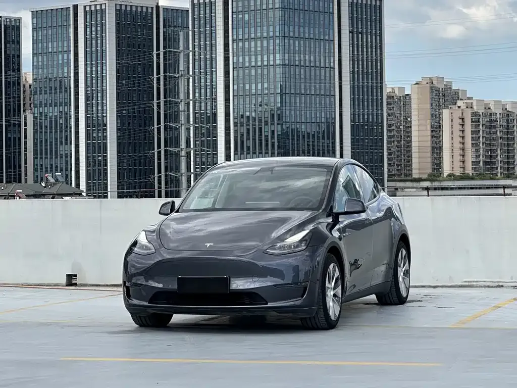 Tesla Model Y 2021 из CN, фото 1