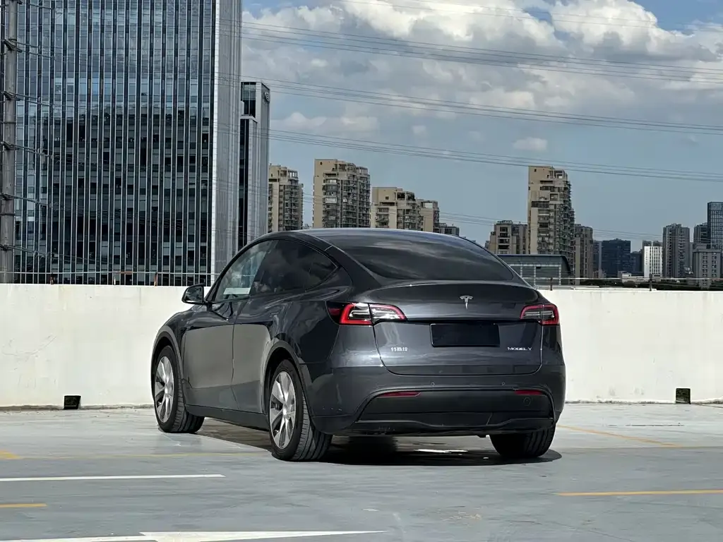 Tesla Model Y 2021 из CN, фото 10