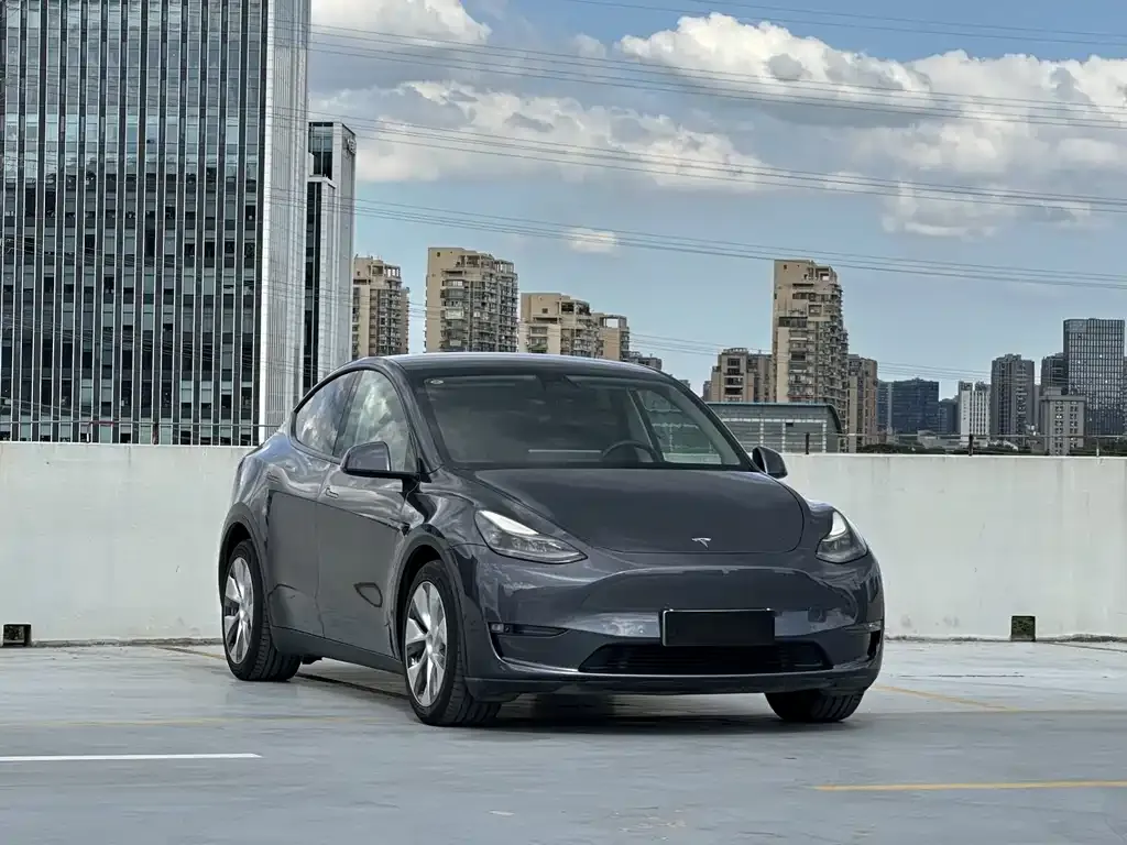 Tesla Model Y 2021 из CN, фото 2