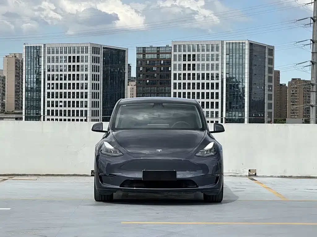 Tesla Model Y 2021 из CN, фото 3