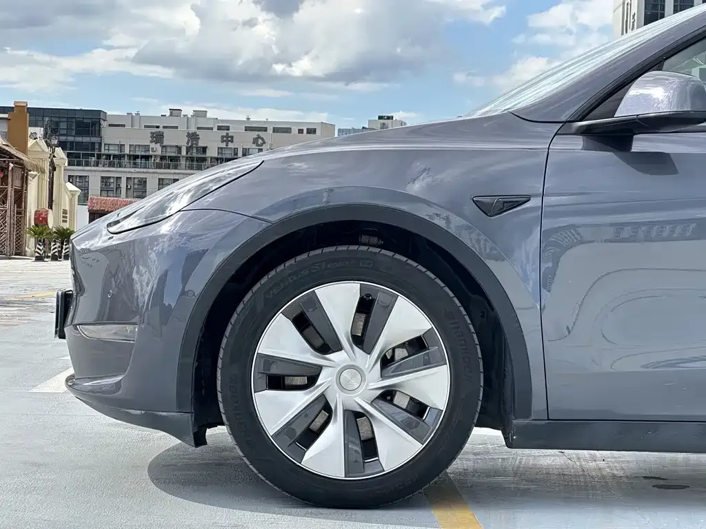 Tesla Model Y 2021 из CN, фото 5