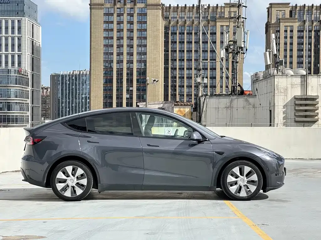 Tesla Model Y 2021 из CN, фото 6