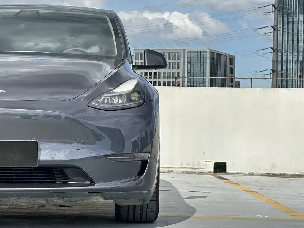 Tesla Model Y 2021 из CN, фото 7