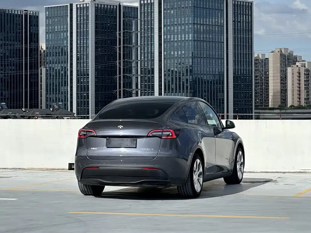 Tesla Model Y 2021 из CN, фото 8