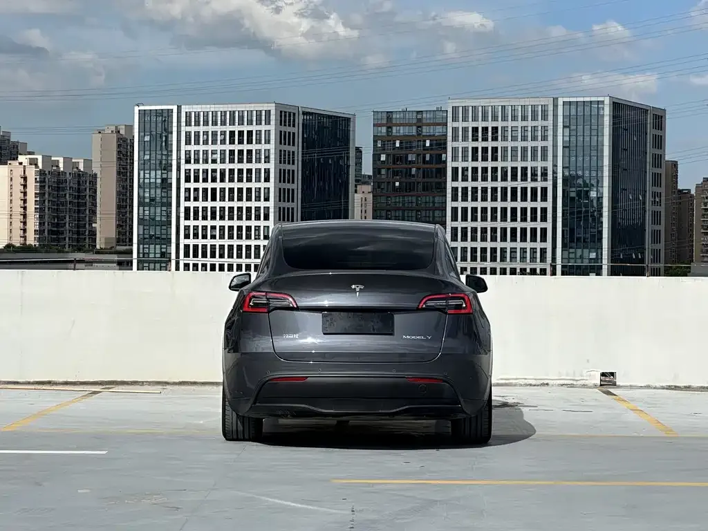 Tesla Model Y 2021 из CN, фото 9