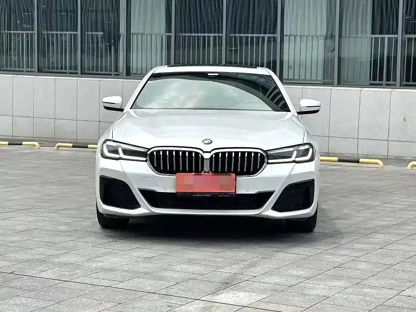 BMW 5 Series 2022 из CN, фото 2
