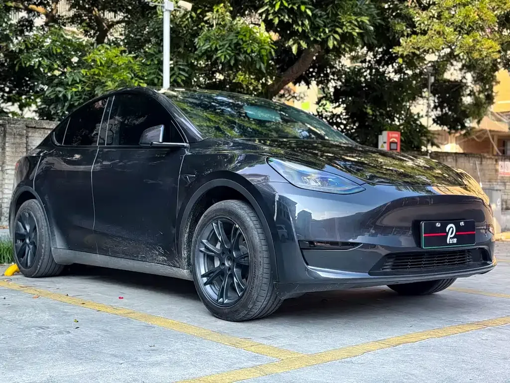 Tesla Model Y 2024 из CN, фото 3