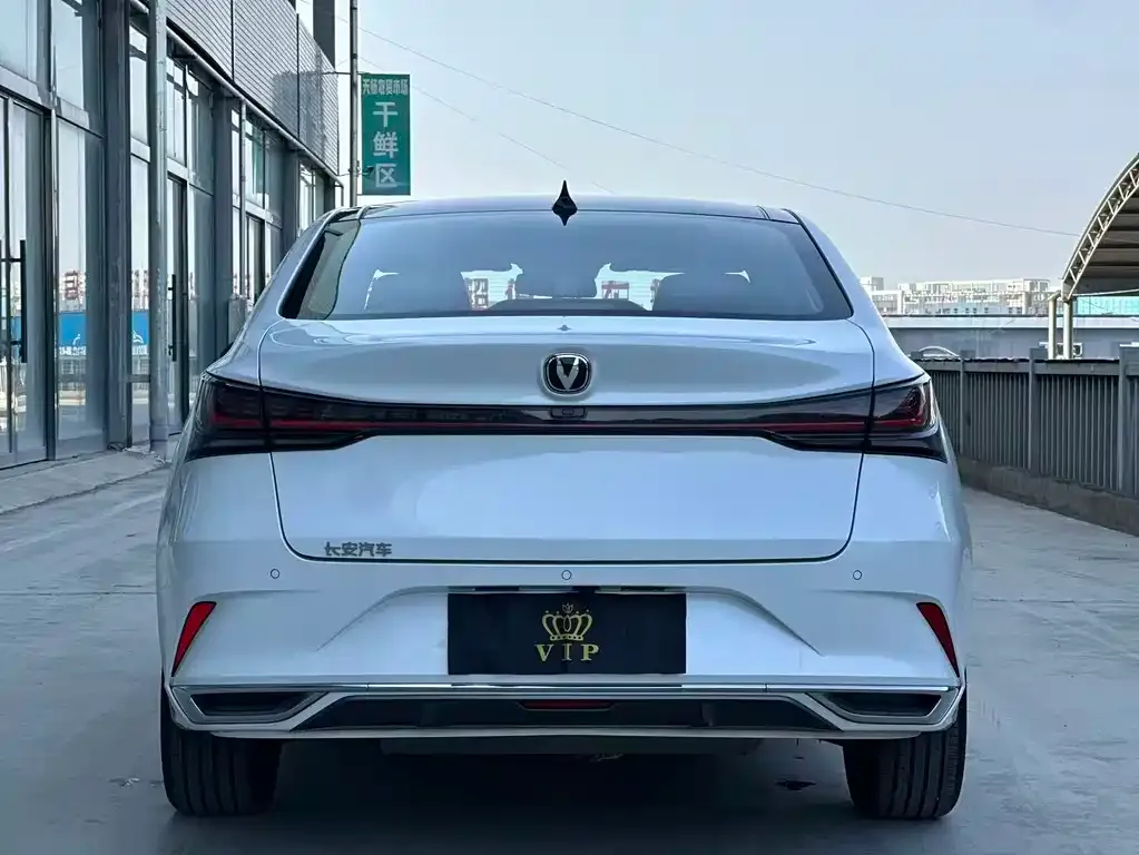 Changan Ruicheng PLUS 2023 из CN, фото 8