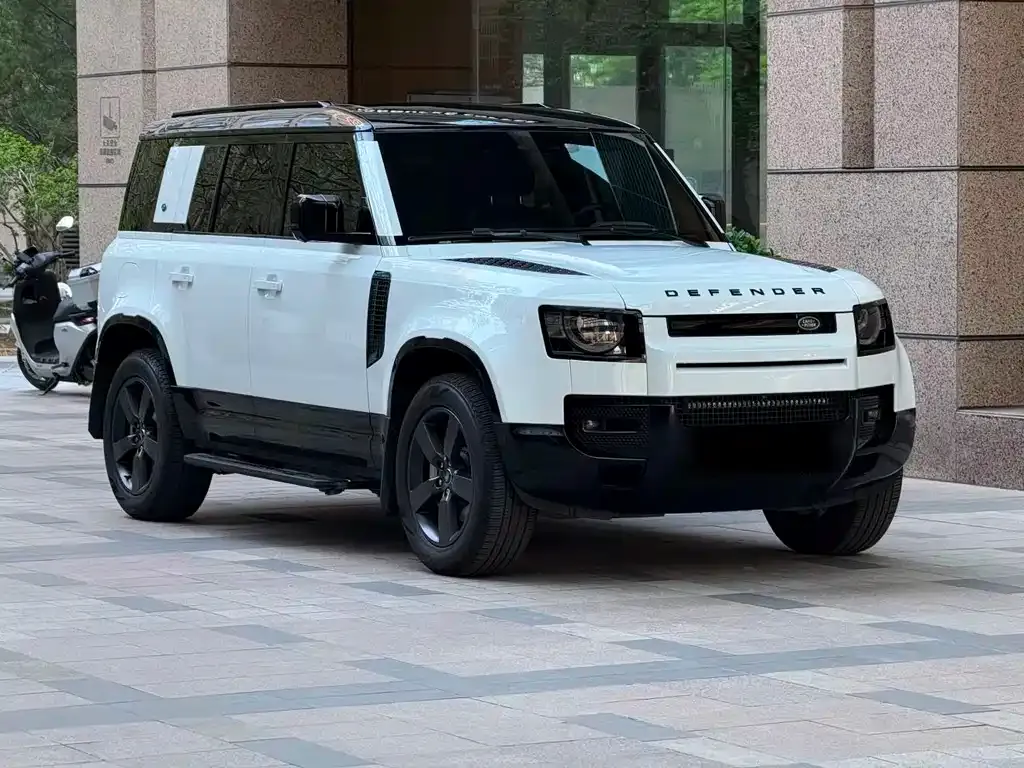 Land Rover Defender 2024 из CN, фото 3