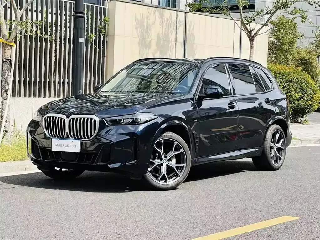 BMW X5 2025 из CN, фото 1