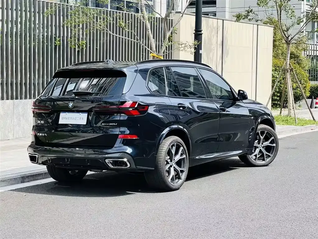 BMW X5 2025 из CN, фото 3
