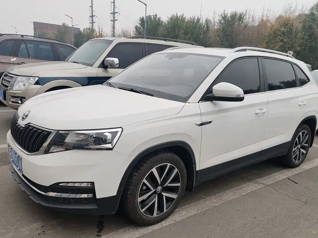 Skoda Kamiq 2021 из CN, фото 1