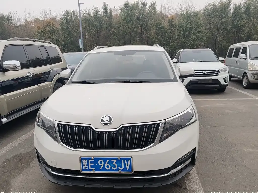 Skoda Kamiq 2021 из CN, фото 2
