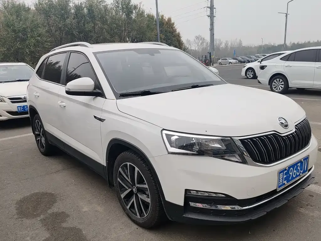 Skoda Kamiq 2021 из CN, фото 3