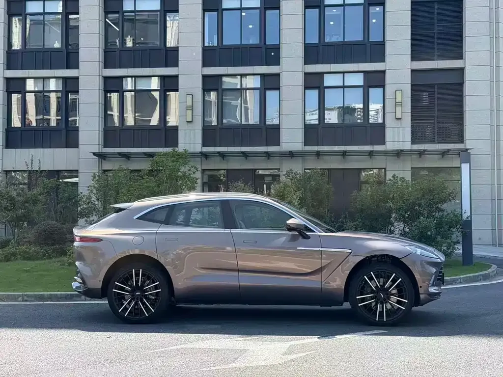 Aston Martin DBX 2022 из CN, фото 3