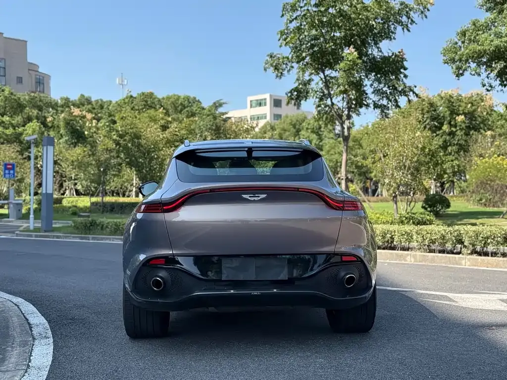 Aston Martin DBX 2022 из CN, фото 4